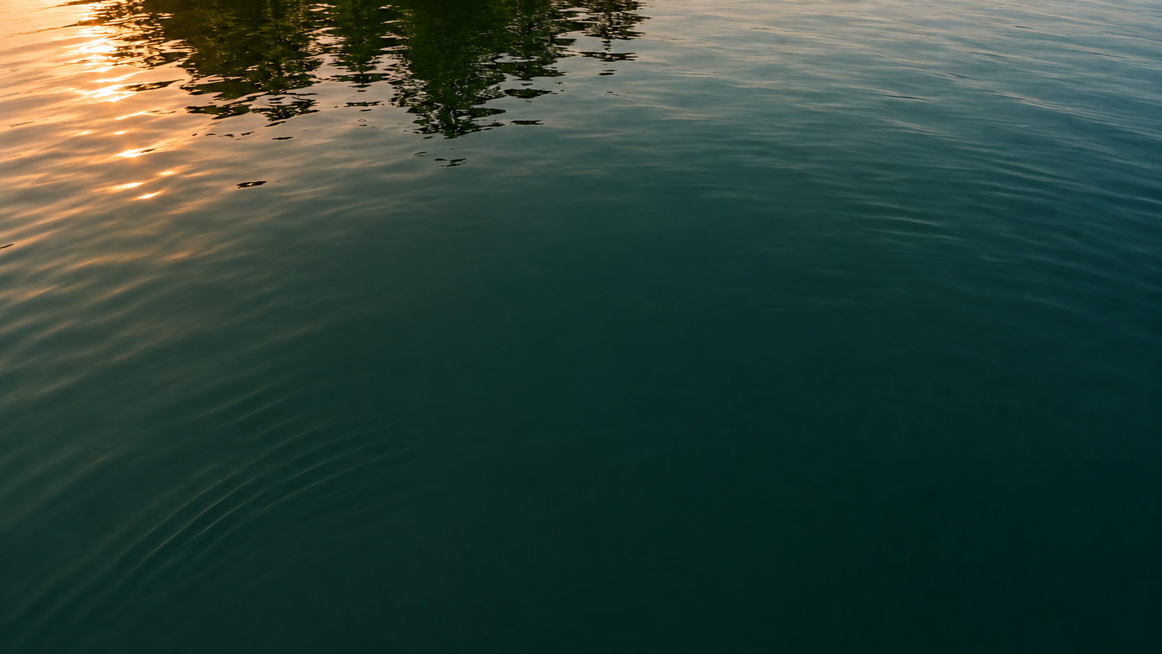 Calm Sri Lankan lagoon water surface